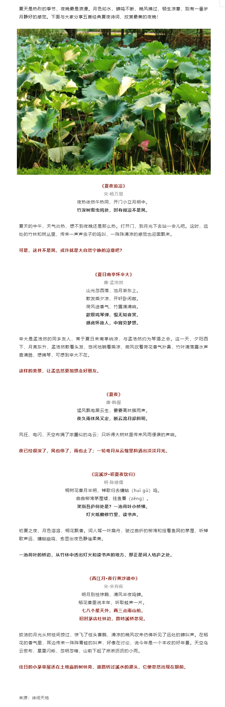 649e98d3bde5d.png